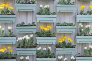 Jardim Suspenso: 20 Ideias Incríveis para Você Ter Em Sua Casa!