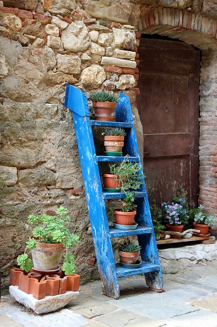 Escada antiga para colocar os vasos