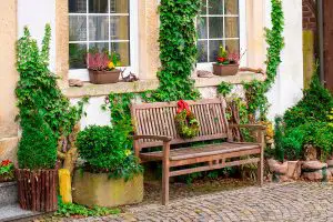 Jardim de Baixo Custo: 15 Dicas Simples e Fáceis de Fazer um em Sua Casa!