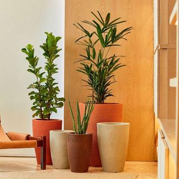 Vasos Decorativos Para Sala: 25 Ideias Para Alegrar a Casa