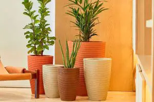 Vasos Decorativos para Sala: 25 Ideias Lindas para Alegrar Sua Casa!