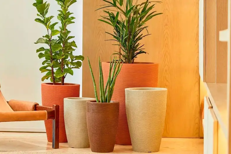 Vasos Decorativos Para Sala: 25 Ideias Para Alegrar a Casa